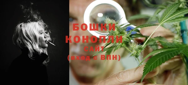 PSILOCYBIN Беломорск