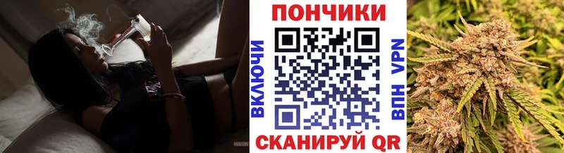 МАРИХУАНА ГИДРОПОН Видное